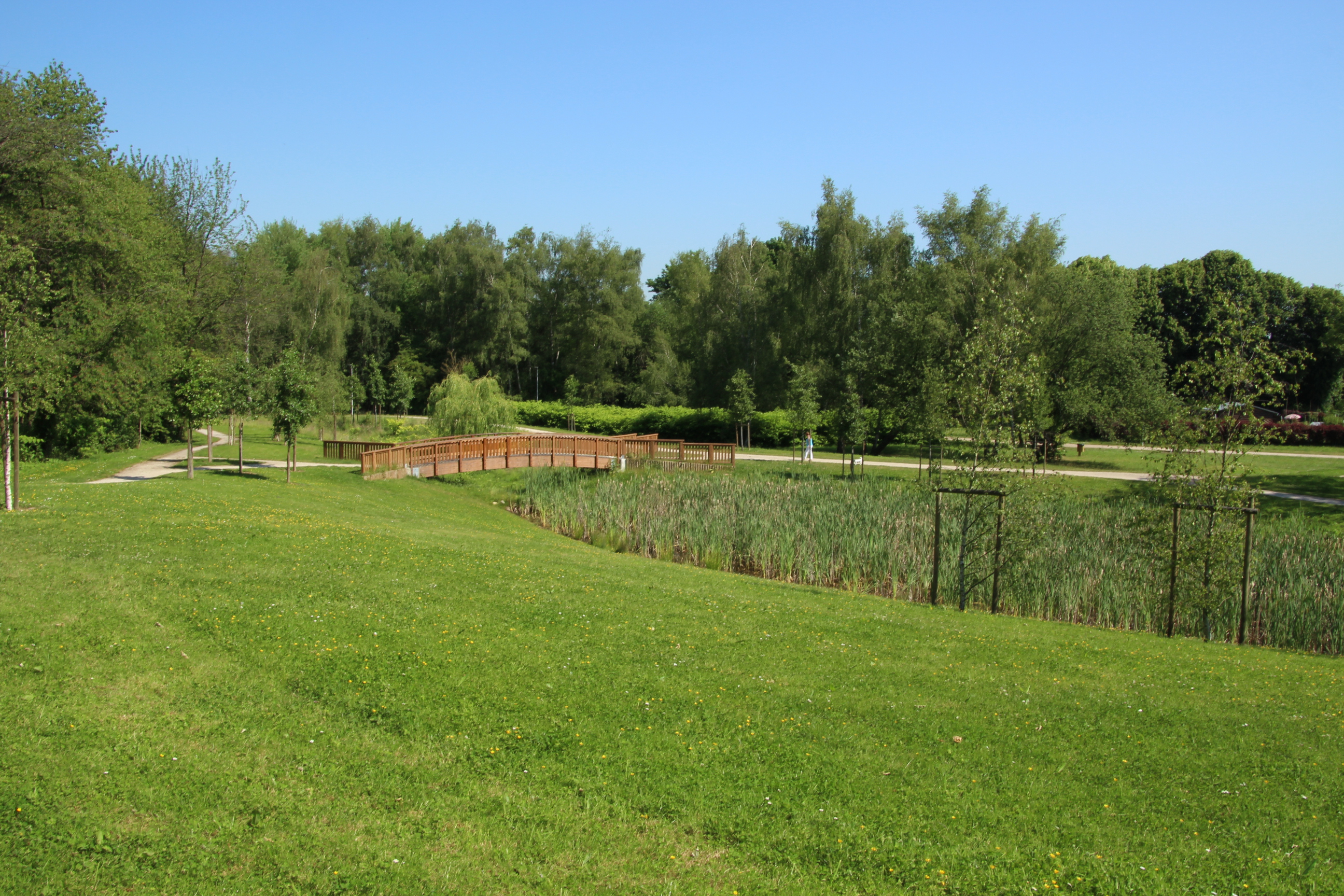 parc coquelicots